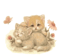 cats.gif
