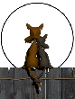 104.gif